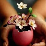 Barbara Hunt - Facebook