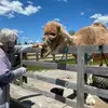 Barbara - @barbarahurley3 - TikTok