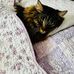 Barbara Hurley - Facebook