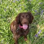 Barbara Hurley - @barbarahurley461 - Instagram