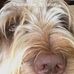 Barbara Hurlock - Facebook