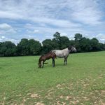Barbara Hurst - @barbara.hurst.756 - Instagram