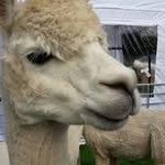 Barbara Hurst - @barbara.hurst.75 - Instagram