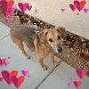 barbarahollishuse - @barbarahollishuse - TikTok