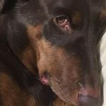 Barbara Jaffe - @pinkrocker1966 - Instagram