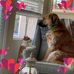 Barbara Jaffe - Facebook