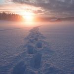 Barbara Jaffe Panken - @pankenbarbara - Instagram