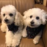 Barbara Jeffers Johnson - @barbaraljohnson - Instagram