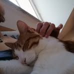 Barbara Jerman - Facebook