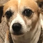 Barbara Jester - @brbrjester - Instagram