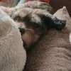 Barbara Jose - @barbara.jose8 - TikTok