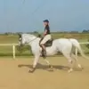 barbara.jumpi - @barbara.jumpi - TikTok