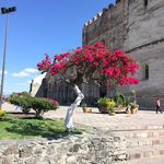 Barbara Kaiser - @barbarakaiser33 - Instagram