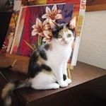 Barbara Kaiser - @barbara.kaiser.77 - Instagram
