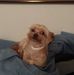 Barbara Kalamets - Facebook