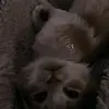 Barbara Kallas - @barbarakallas3877 - TikTok