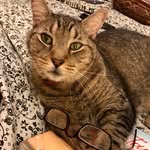 Barbara Kaminsky Stern - @bksbeat01 - Instagram