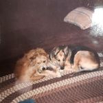 Barbara Kaminsky Stewart - @barbs.1956 - Instagram