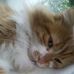 Barbara Kampen - Facebook
