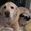 barbarakamper - @bak266561 - TikTok