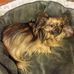 Barbara Kandel - Facebook