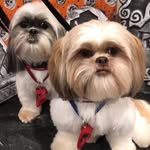 Barbara Kansky - @barbara06102024 - Instagram