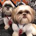 Barbara Kansky - Facebook