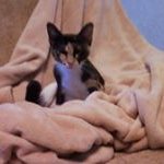 Barbara Kappel-Dominy - @bjkappelaol.com_ - Instagram