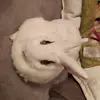 Barbara Kapusta - @barbarakapusta0 - TikTok