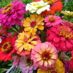 Barbara Crews Karch - @barbarakarch - Instagram