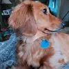 barbarakenowski1 - @barbarakenowski1 - TikTok