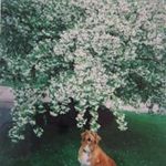 Barbara Karst - @rubylibchen2 - Instagram