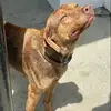 Barbara Karsten - @barbara.karsten6 - TikTok