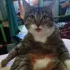 BarbaraKarsten925 - @barkar100 - TikTok