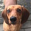 Barbara_Kaspar - @barbara_kaspar - TikTok