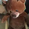 katzebarbara - @katzebarbara - TikTok