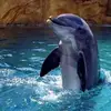 Barbara Kaufmann - @barbara.kaufmann - TikTok