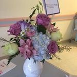 Barbara Kavanagh - @105nycgram - Instagram