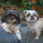 Barbara Kavanagh - @barbara.kavanagh.777 - Instagram