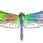 Barbara Keating - @dragonfly552 - Instagram