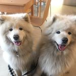 Barbara Keating - @pmnoggin - Instagram