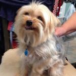 Barbara Keating Braun - @braun524 - Instagram