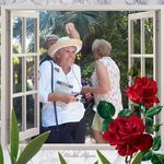 Barbara Stewart Keating - @barbarastewartkeating - Instagram