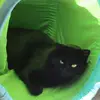 barbarakeeley280 - @barbarakeeley280 - TikTok