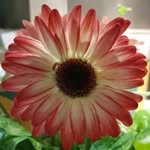 Barbara Keen - @mefirst8 - Instagram