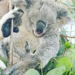 Barbara Keen - @babs.cabs - Instagram