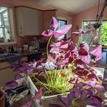 Barbara Keen - @barbara.keen.376 - Instagram