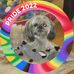 Barbara Kees - Facebook