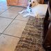 Barbara Riebel Keesee - Facebook