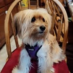 Barbara Keffer - @bkeffer2012 - Instagram